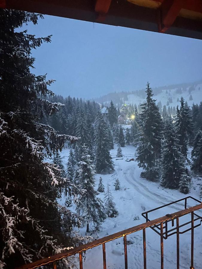 Cabana Miramonte Vartop Arieseni Kültér fotó